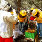 Ph. Martín Wayra, los apicultores