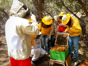 Ph. Martín Wayra, los apicultores